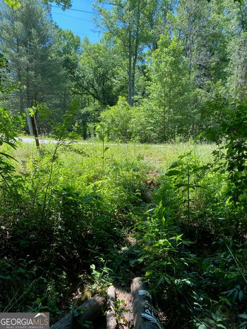 0 Hardman Road, Sautee Nacoochee, GA 30571
