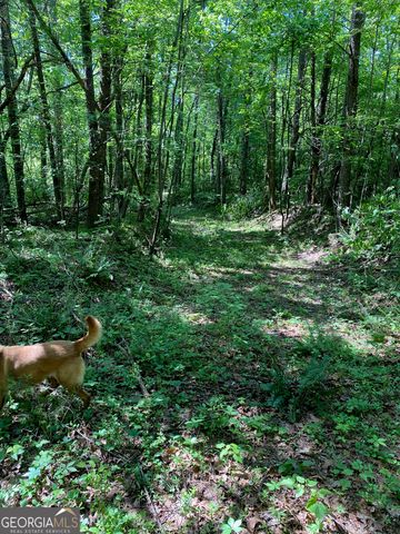 0 Hardman Road, Sautee Nacoochee, GA 30571