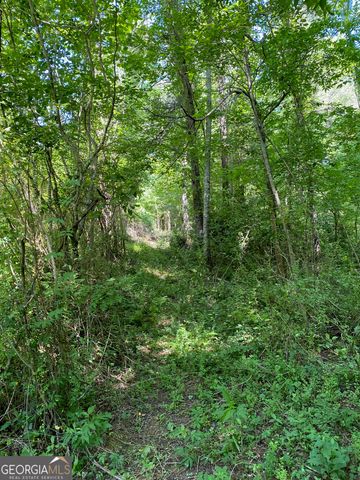 0 Hardman Road, Sautee Nacoochee, GA 30571