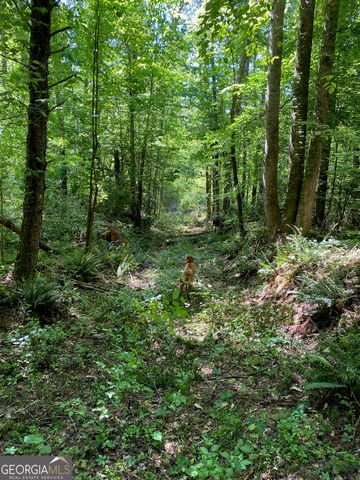 0 Hardman Road, Sautee Nacoochee, GA 30571