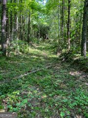0 Hardman Road, Sautee Nacoochee, GA 30571