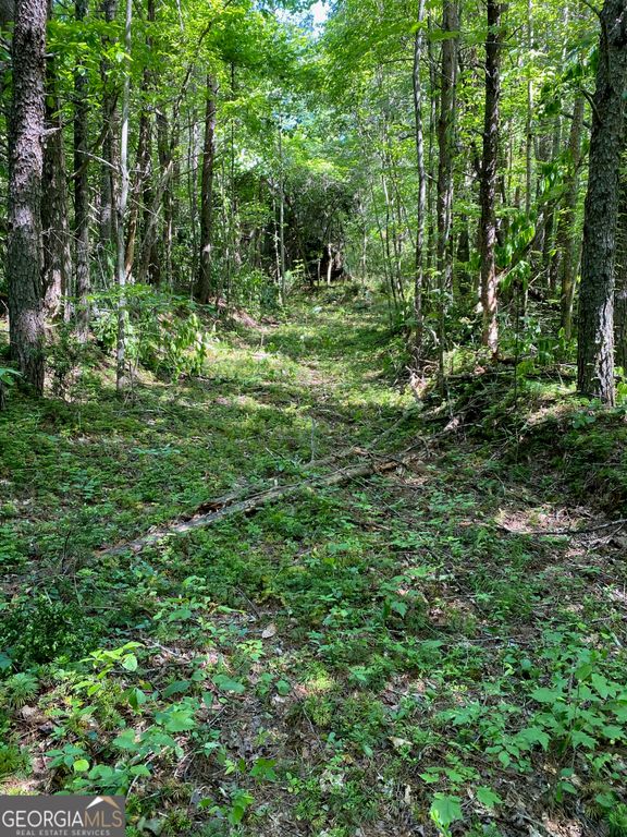 0 Hardman Road, Sautee Nacoochee, GA 30571