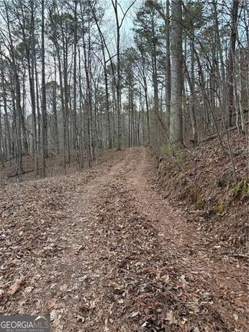 0 Shady Grove Church Road, Talking Rock, GA 30175