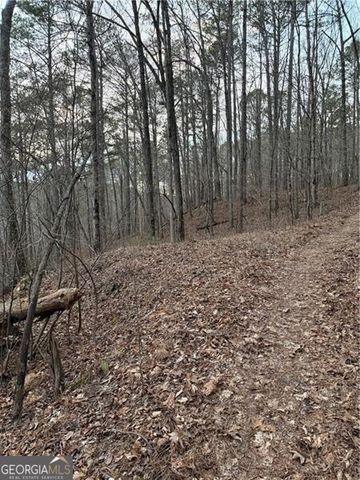 0 Shady Grove Church Road, Talking Rock, GA 30175