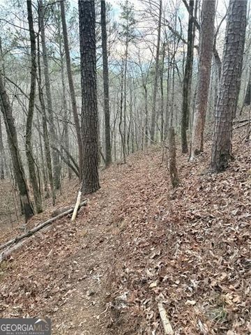 0 Shady Grove Church Road, Talking Rock, GA 30175