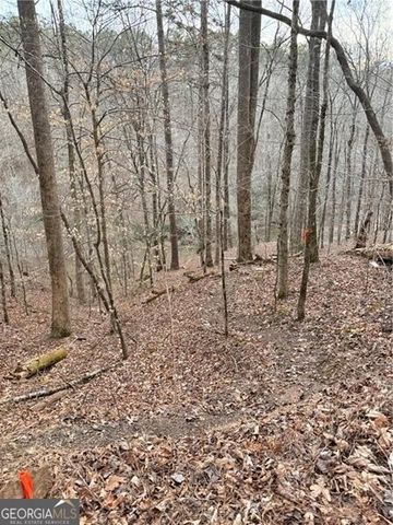 0 Shady Grove Church Road, Talking Rock, GA 30175