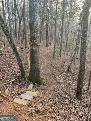 0 Shady Grove Church Road, Talking Rock, GA 30175