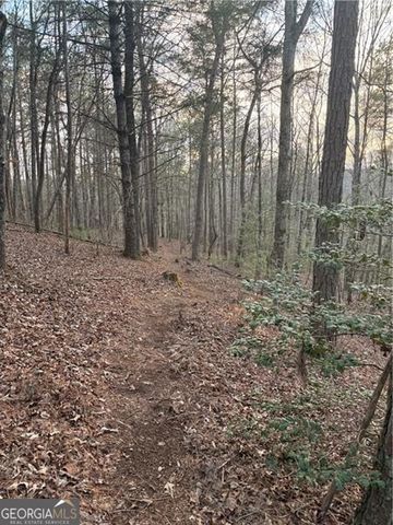 0 Shady Grove Church Road, Talking Rock, GA 30175