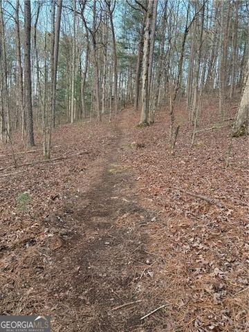 0 Shady Grove Church Road, Talking Rock, GA 30175