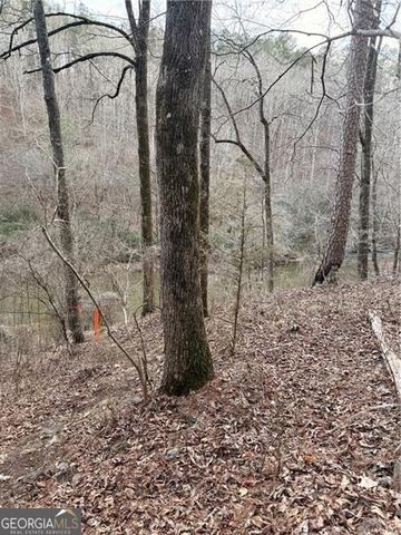 0 Shady Grove Church Road, Talking Rock, GA 30175