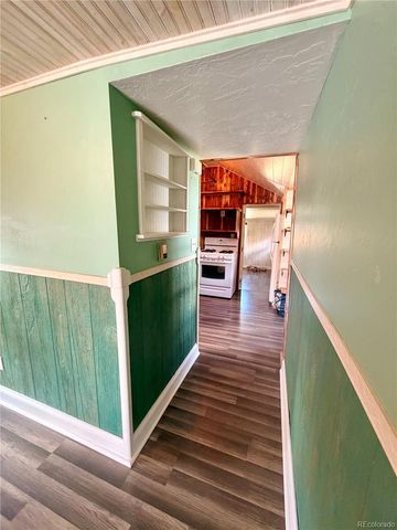 410 E 5th Street, Leadville, CO 80461