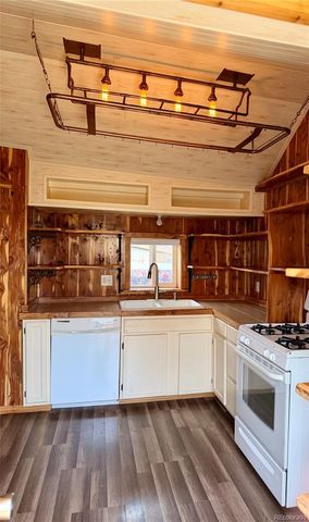 410 E 5th Street, Leadville, CO 80461