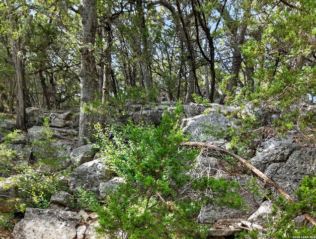 25867 LEWIS RANCH RD, New Braunfels, TX 78132