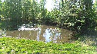 191 Fsr 587, Kennard, TX 75847