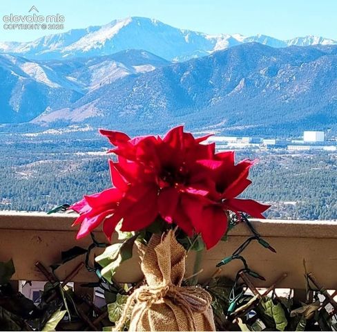 201 Kettle Valley Way, Monument, CO 80132