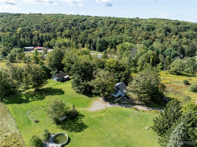 8919 State Road, Colden, NY 14033