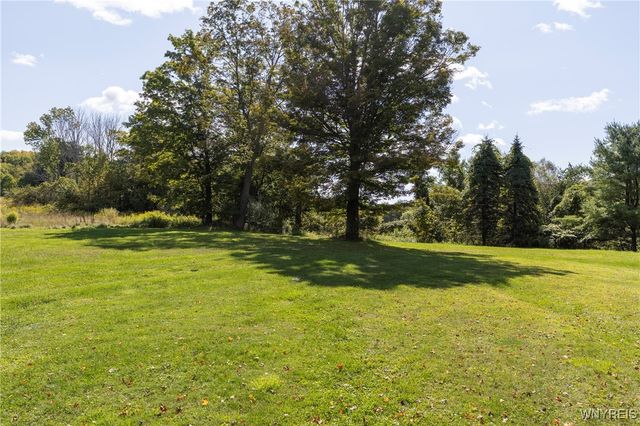 8919 State Road, Colden, NY 14033