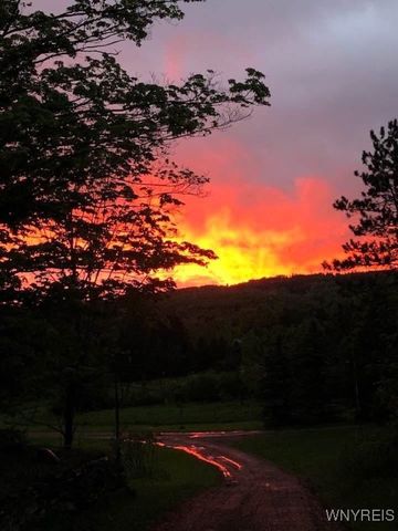 8919 State Road, Colden, NY 14033