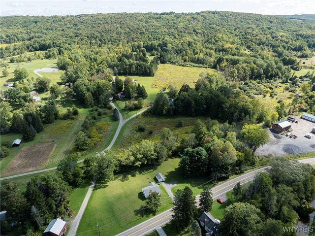 8919 State Road, Colden, NY 14033