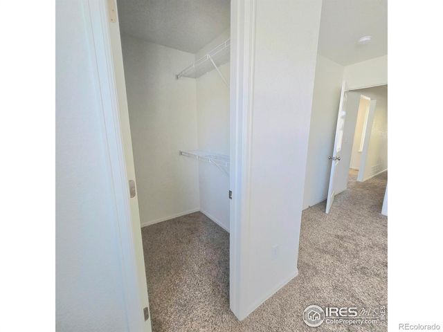 1570 Driftline Drive, Severance, CO 80550