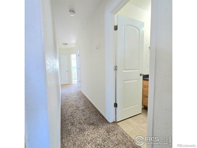 1570 Driftline Drive, Severance, CO 80550