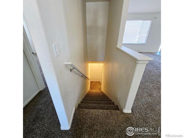 1570 Driftline Drive, Severance, CO 80550