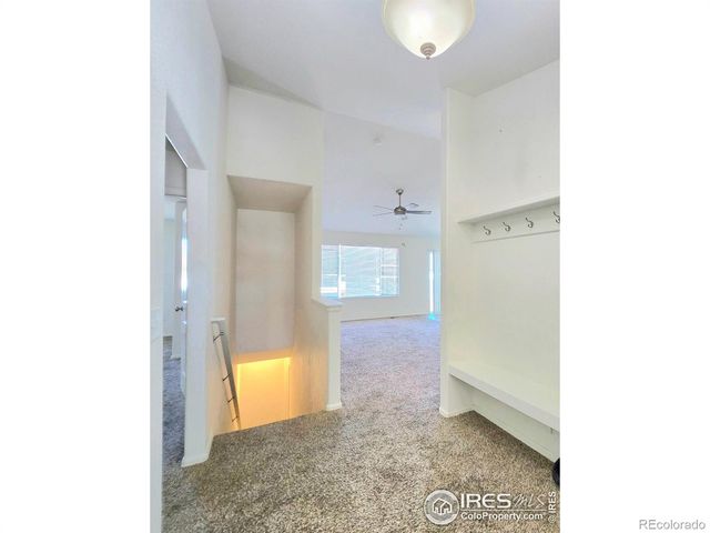 1570 Driftline Drive, Severance, CO 80550