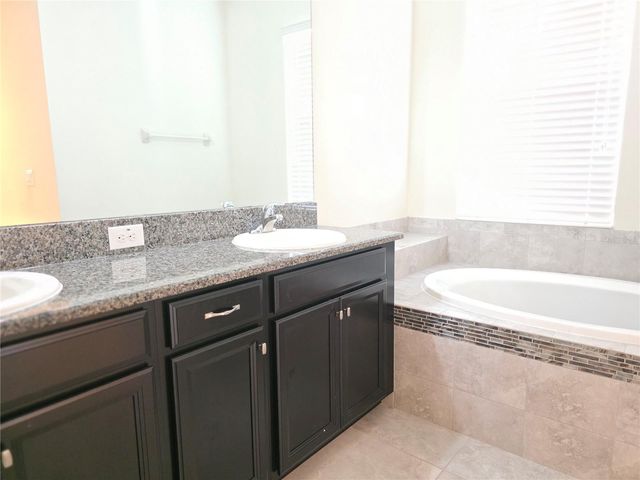 17545 BUCKINGHAM GARDEN DRIVE, Lithia, FL 33547