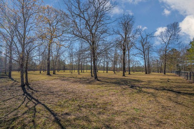 411 Bluffwood Road, Wagener, SC 29164