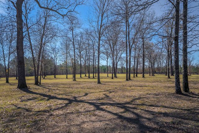 411 Bluffwood Road, Wagener, SC 29164