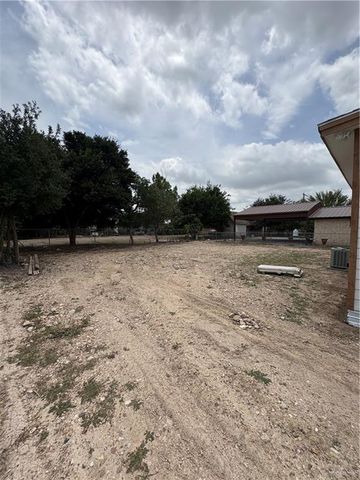 41 Rincon Road, Escobares, TX 78584