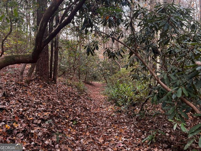 0 Soque Falls Circle Lot 34, Clarkesville, GA 30523