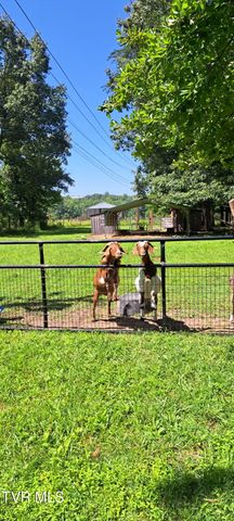 114 Greenland Park Road, Church Hill, TN 37642