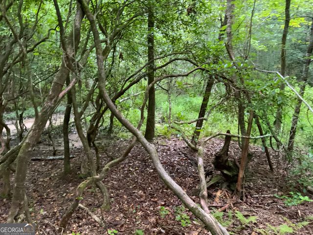 0 Skylake and Wheeler Ridge Road, Sautee Nacoochee, GA 30571