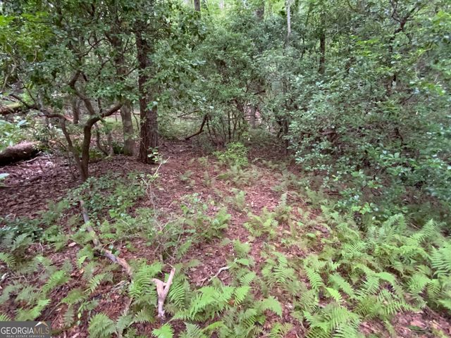 0 Skylake and Wheeler Ridge Road, Sautee Nacoochee, GA 30571