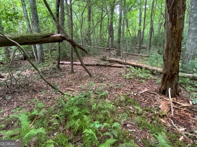 0 Skylake and Wheeler Ridge Road, Sautee Nacoochee, GA 30571