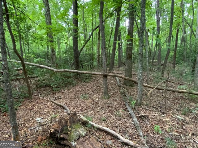0 Skylake and Wheeler Ridge Road, Sautee Nacoochee, GA 30571