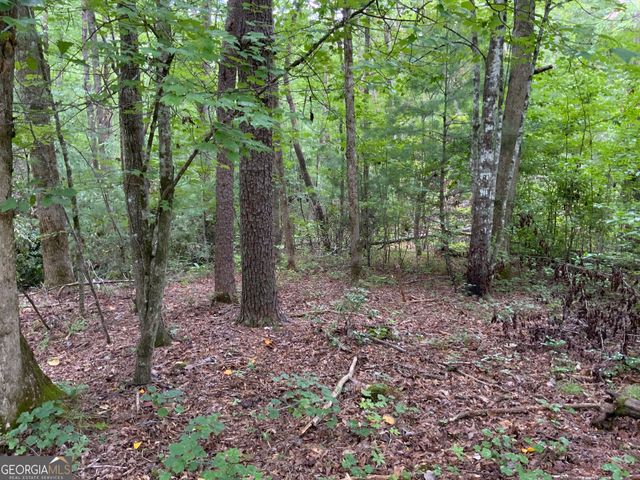0 Skylake and Wheeler Ridge Road, Sautee Nacoochee, GA 30571