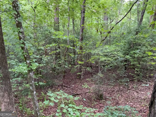 0 Skylake and Wheeler Ridge Road, Sautee Nacoochee, GA 30571
