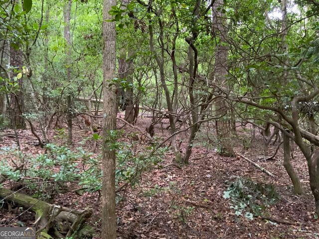 0 Skylake and Wheeler Ridge Road, Sautee Nacoochee, GA 30571