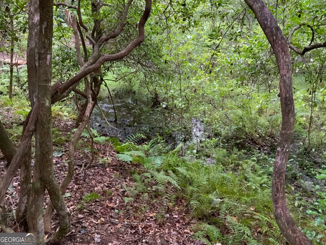 0 Skylake and Wheeler Ridge Road, Sautee Nacoochee, GA 30571