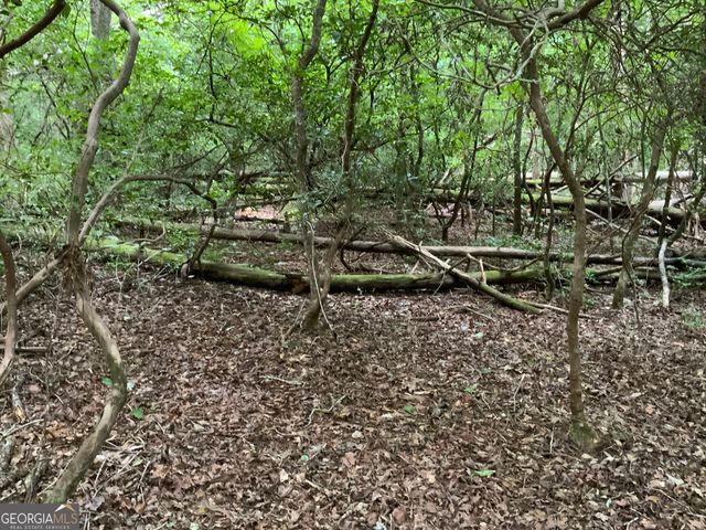 0 Skylake and Wheeler Ridge Road, Sautee Nacoochee, GA 30571