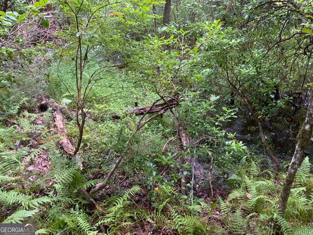 0 Skylake and Wheeler Ridge Road, Sautee Nacoochee, GA 30571