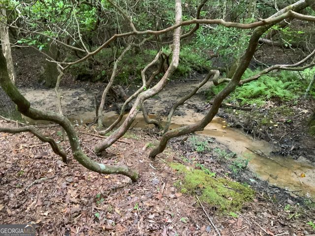 0 Skylake and Wheeler Ridge Road, Sautee Nacoochee, GA 30571