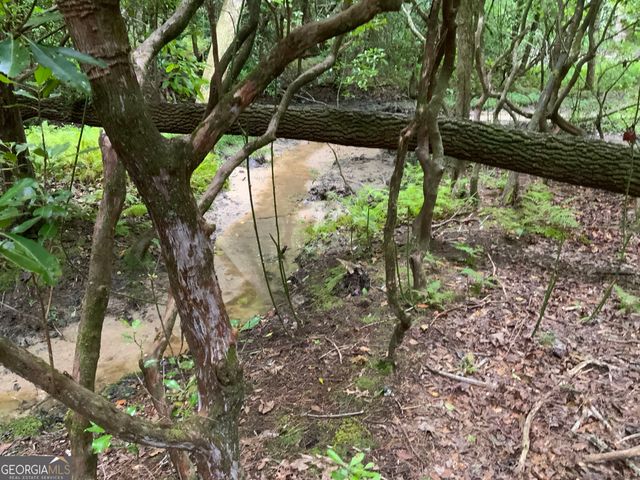 0 Skylake and Wheeler Ridge Road, Sautee Nacoochee, GA 30571