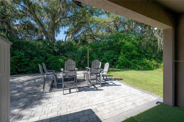 9031 WATER CHESTNUT DRIVE, Temple Terrace, FL 33637