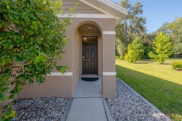 9031 WATER CHESTNUT DRIVE, Temple Terrace, FL 33637