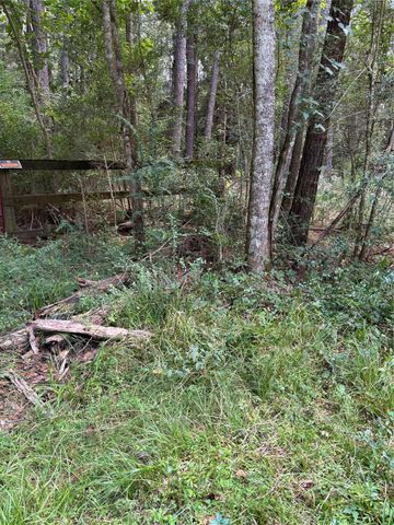 000 Bergman Drive, Magnolia, TX 77355