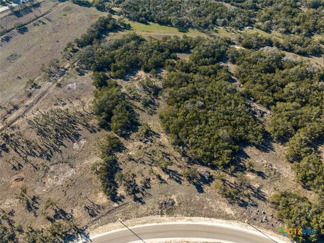 642 Windmill Ridge Drive, Blanco, TX 78606