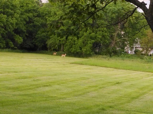 6830 Axtel Drive, 23C, Canal Winchester, OH 43110